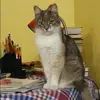 Отзыв от Серафима Пименова